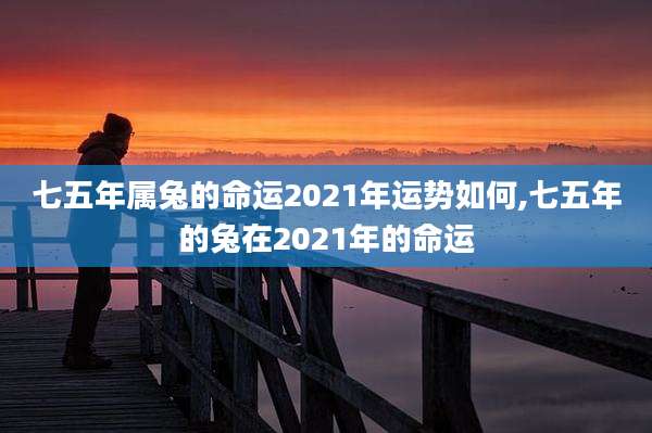 七五年属兔的命运2021年运势如何,七五年的兔在2021年的命运