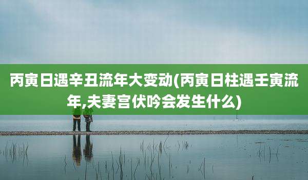 丙寅日遇辛丑流年大变动(丙寅日柱遇壬寅流年,夫妻宫伏吟会发生什么)