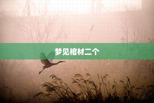 梦见棺材二个
