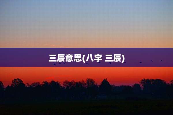 三辰意思(八字 三辰)
