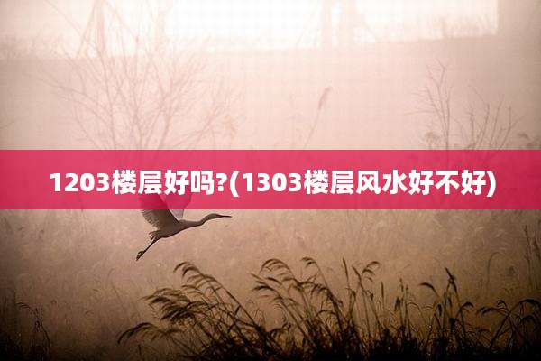 1203楼层好吗?(1303楼层风水好不好)