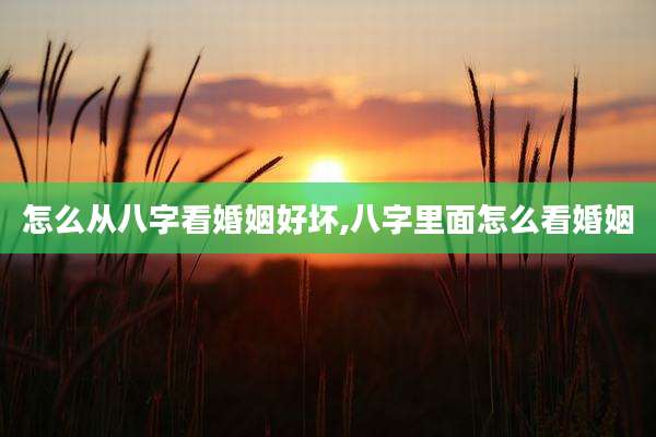 怎么从八字看婚姻好坏,八字里面怎么看婚姻