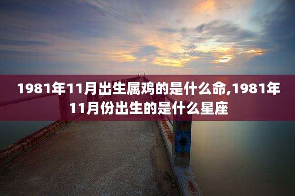 1981年11月出生属鸡的是什么命,1981年11月份出生的是什么星座