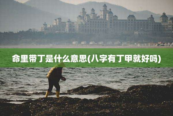 命里带丁是什么意思(八字有丁甲就好吗)