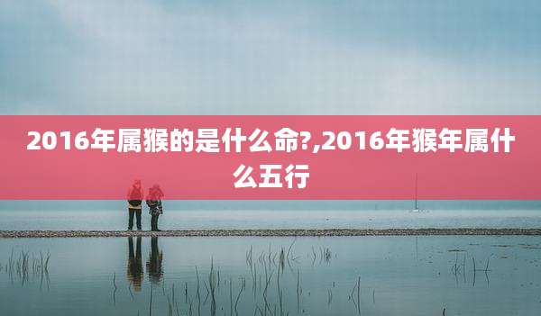 2016年属猴的是什么命?,2016年猴年属什么五行