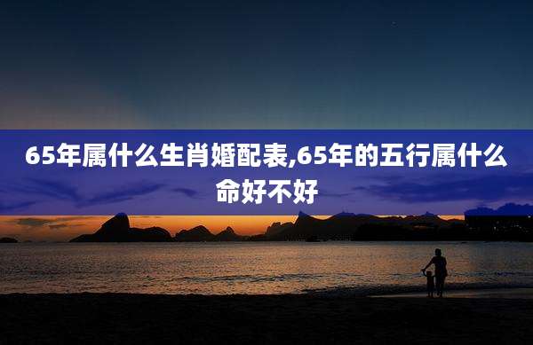 65年属什么生肖婚配表,65年的五行属什么命好不好