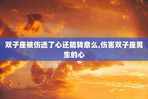双子座被伤透了心还能转意么,伤害双子座男生的心