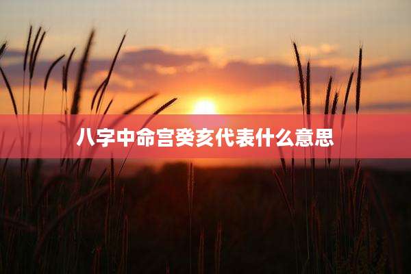 八字中命宫癸亥代表什么意思