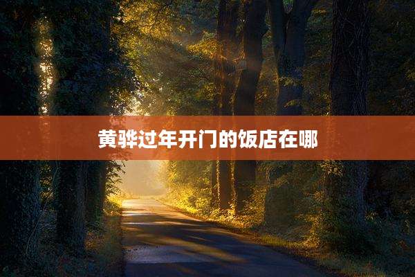 黄骅过年开门的饭店在哪