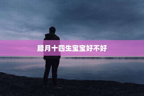 腊月十四生宝宝好不好