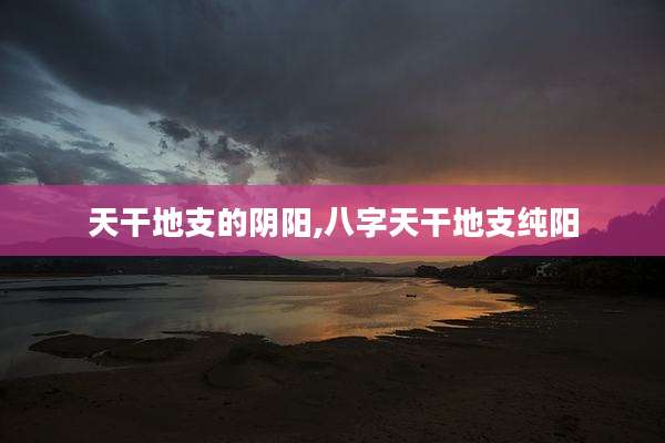 天干地支的阴阳,八字天干地支纯阳