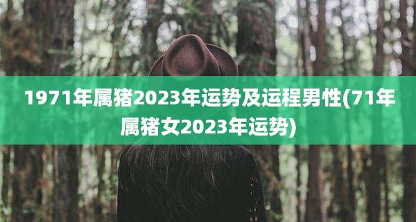 1971年属猪2023年运势及运程男性(71年属猪女2023年运势)