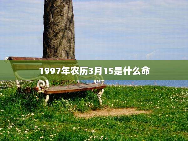 1997年农历3月15是什么命