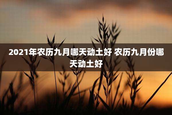 2021年农历九月哪天动土好 农历九月份哪天动土好