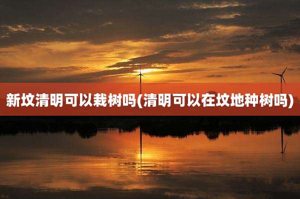 新坟清明可以栽树吗(清明可以在坟地种树吗)