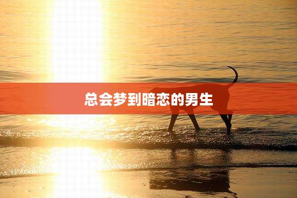 总会梦到暗恋的男生