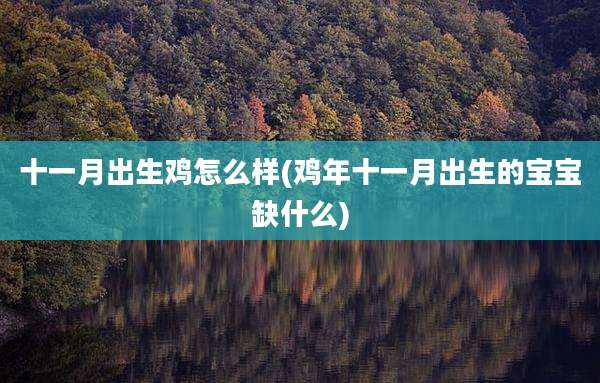 十一月出生鸡怎么样(鸡年十一月出生的宝宝缺什么)