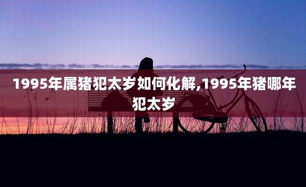 1995年属猪犯太岁如何化解,1995年猪哪年犯太岁