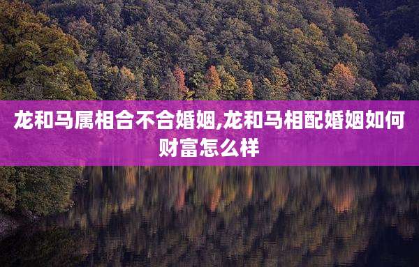 龙和马属相合不合婚姻,龙和马相配婚姻如何财富怎么样
