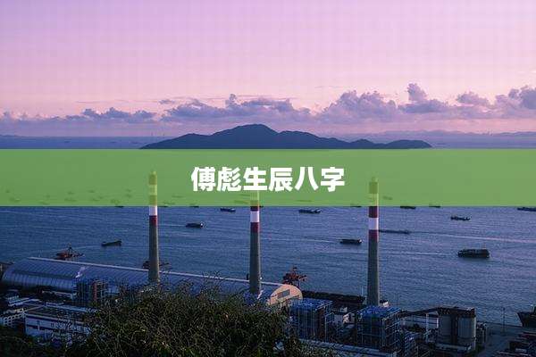 傅彪生辰八字