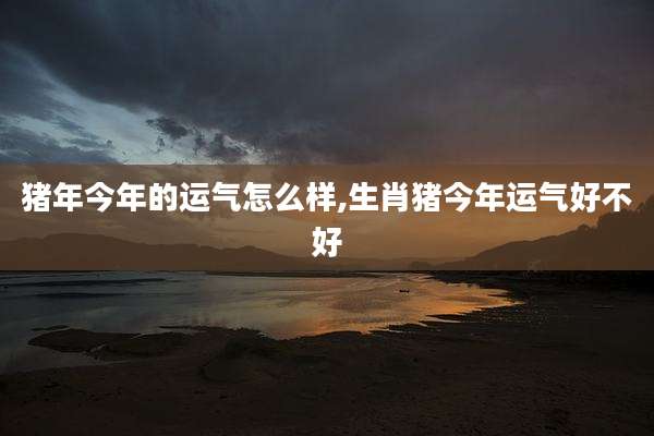 猪年今年的运气怎么样,生肖猪今年运气好不好