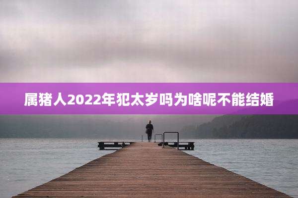 属猪人2022年犯太岁吗为啥呢不能结婚