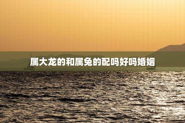 属大龙的和属兔的配吗好吗婚姻