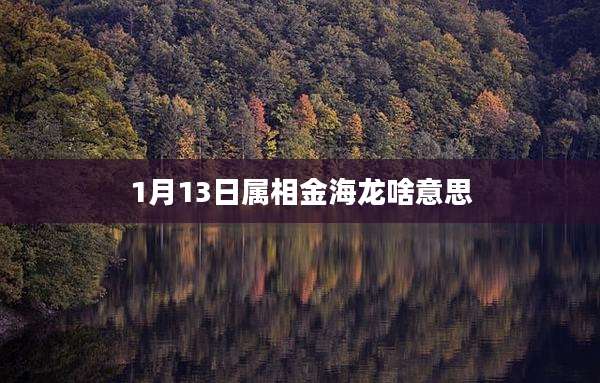 1月13日属相金海龙啥意思
