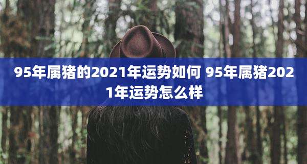 95年属猪的2021年运势如何 95年属猪2021年运势怎么样