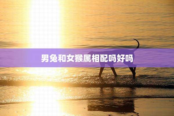 男兔和女猴属相配吗好吗