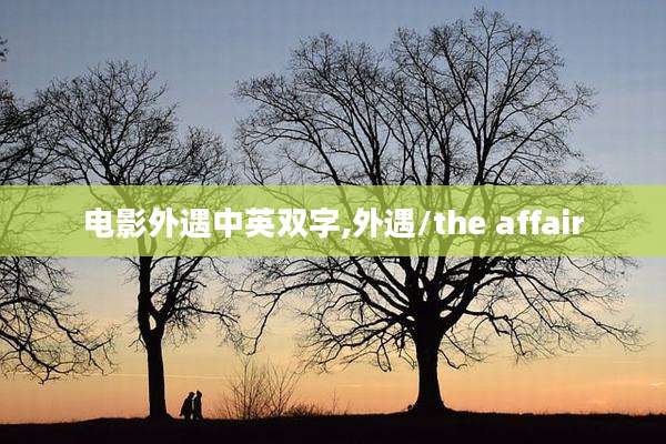 电影外遇中英双字,外遇/the affair