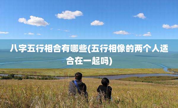 八字五行相合有哪些(五行相像的两个人适合在一起吗)