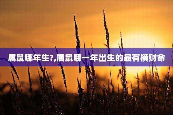 属鼠哪年生?,属鼠哪一年出生的最有横财命