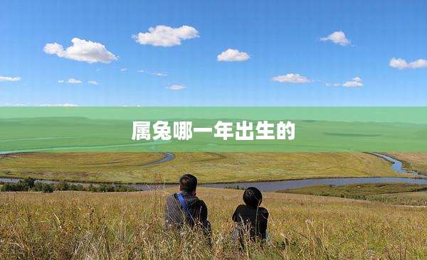属兔哪一年出生的