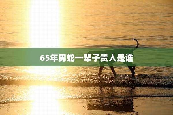 65年男蛇一辈子贵人是谁
