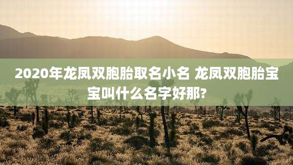 2020年龙凤双胞胎取名小名 龙凤双胞胎宝宝叫什么名字好那?