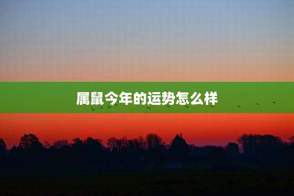 属鼠今年的运势怎么样