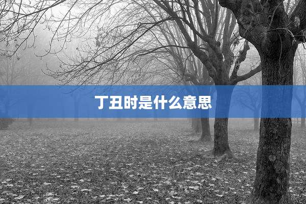丁丑时是什么意思