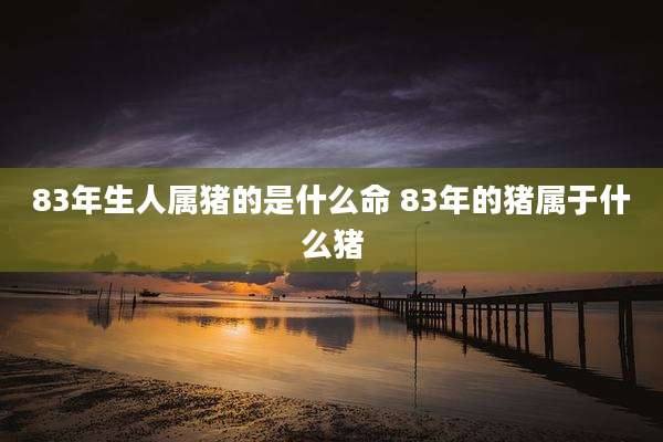 83年生人属猪的是什么命 83年的猪属于什么猪