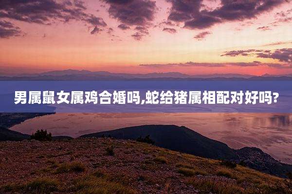 男属鼠女属鸡合婚吗,蛇给猪属相配对好吗?