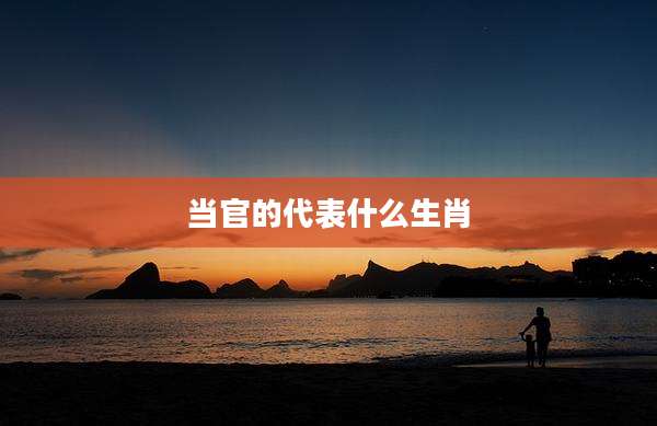 当官的代表什么生肖