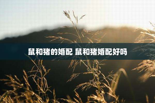 鼠和猪的婚配 鼠和猪婚配好吗