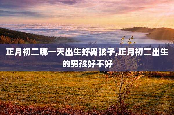 正月初二哪一天出生好男孩子,正月初二出生的男孩好不好