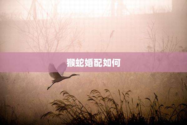 猴蛇婚配如何