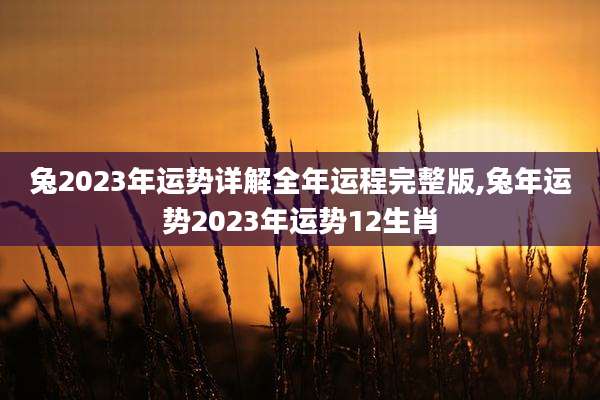 兔2023年运势详解全年运程完整版,兔年运势2023年运势12生肖