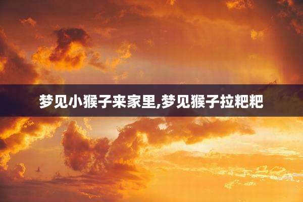 梦见小猴子来家里,梦见猴子拉粑粑