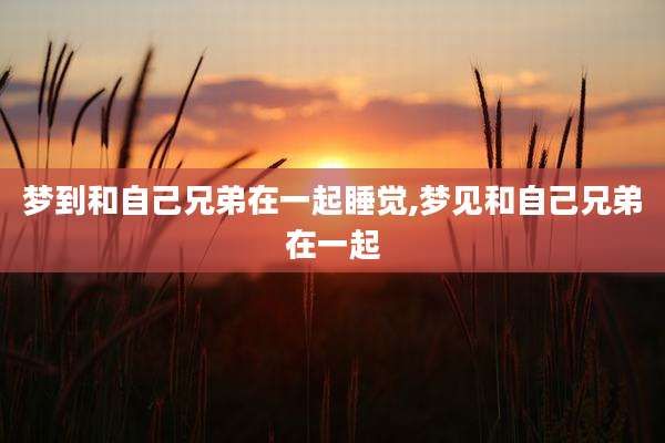 梦到和自己兄弟在一起睡觉,梦见和自己兄弟在一起