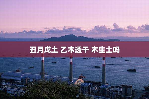 丑月戊土 乙木透干 木生土吗