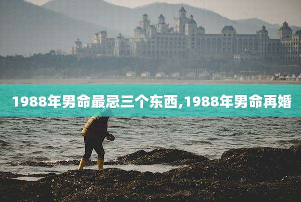 1988年男命最忌三个东西,1988年男命再婚