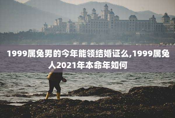 1999属兔男的今年能领结婚证么,1999属兔人2021年本命年如何